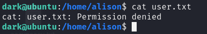 Access Denied to Alison's Files